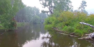 空中视频。夏季森林里有一条小山河