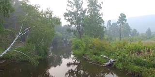 空中视频。夏季森林里有一条小山河