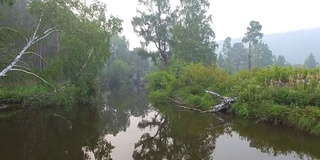 空中视频。夏季森林里有一条小山河