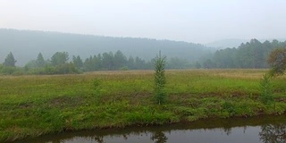 空中视频。夏季森林里有一条小山河