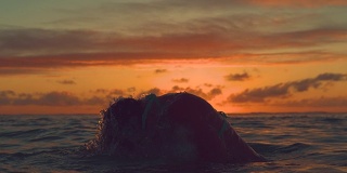 剪影:女孩把她的头从海洋中抽打出来，在夕阳下泼水。