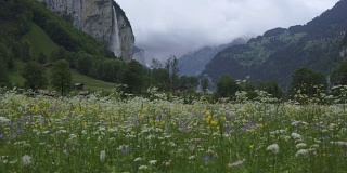 瑞士伯尔尼Lauterbrunnen的野花和瀑布