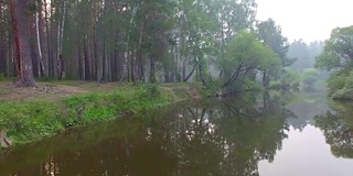 空中视频。夏季森林里有一条小山河