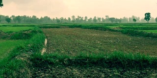 雨落在泰国的一块干燥的土地上。
