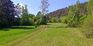 空中视频。夏季森林里有一条小山河