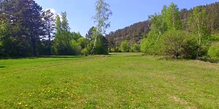 空中视频。夏季森林里有一条小山河