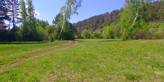 空中视频。夏季森林里有一条小山河