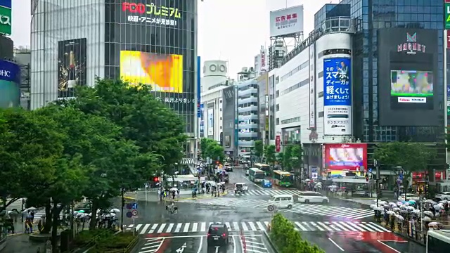 涉谷乌鸦在雨中穿越时光流逝