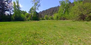 空中视频。夏季森林里有一条小山河