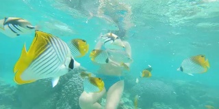 水下:一名年轻女子戴着黑色面具在珊瑚礁附近喂五颜六色的鱼