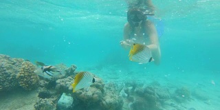 水下:年轻的女性浮潜者在喂养一群五颜六色的外来鱼。