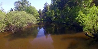 空中视频。夏季森林里有一条小山河