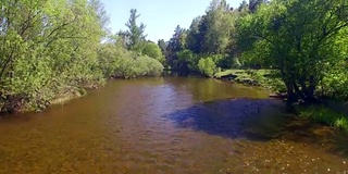 空中视频。夏季森林里有一条小山河