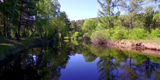 空中视频。夏季森林里有一条小山河