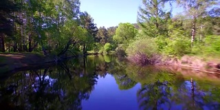 空中视频。夏季森林里有一条小山河