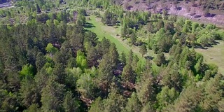 空中视频。夏季森林里有一条小山河