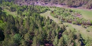 空中视频。夏季森林里有一条小山河