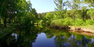 空中视频。夏季森林里有一条小山河