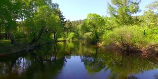 空中视频。夏季森林里有一条小山河