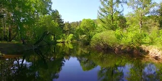 空中视频。夏季森林里有一条小山河