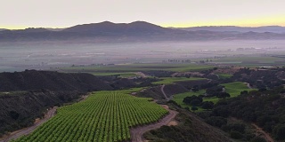 加州葡萄酒乡-无人机射击
