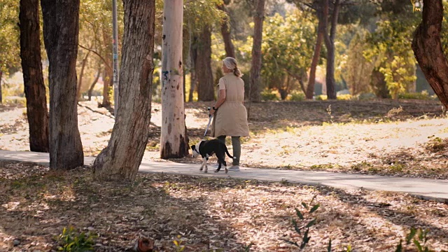 优雅成熟的女人在秋天的公园遛狗