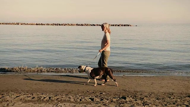 夕阳西下，成熟的女人带着狗在沙滩上散步
