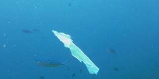 环境问题:海洋中的一次性塑料