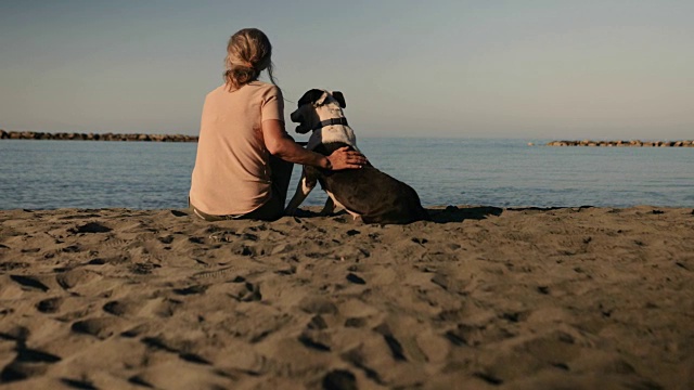 成熟的女人在沙滩上放松和宠物狗