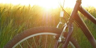 骑自行车在自然界中
