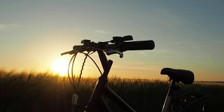 日落时分的自行车