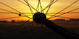 骑自行车。日落