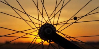 日落。夕阳下的自行车转轮