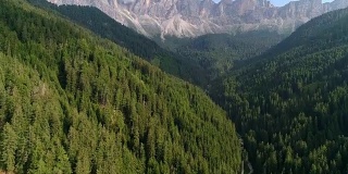 无人机从圣玛格达莱纳的意大利多洛米特阿尔卑斯山脉的森林顶部拍摄的树木
