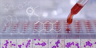 白血病疾病药物全息图药物化学结构的未来技术为患者