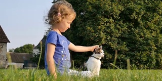 一个卷曲的小女孩抚摸着一只三色的猫。家庭日。宠物