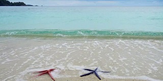 两只海星，红的和蓝的，躺在沙滩上