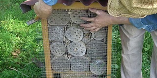 在昆虫旅馆上固定金属网，防止啄木鸟啄食