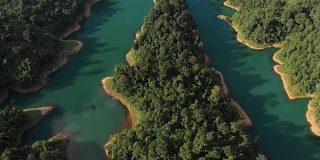 4k鸟瞰图和倾斜的热带雨林在Chiaw Lan水坝在考索。