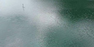 木筏漂浮在湖中的4k鸟瞰图。
