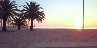 清晨日出海面上的风景，棕榈树的剪影