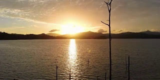 4k摄影车拍摄的日落时分湖中树木死亡的照片。