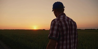 一个农民在日落时穿过田野