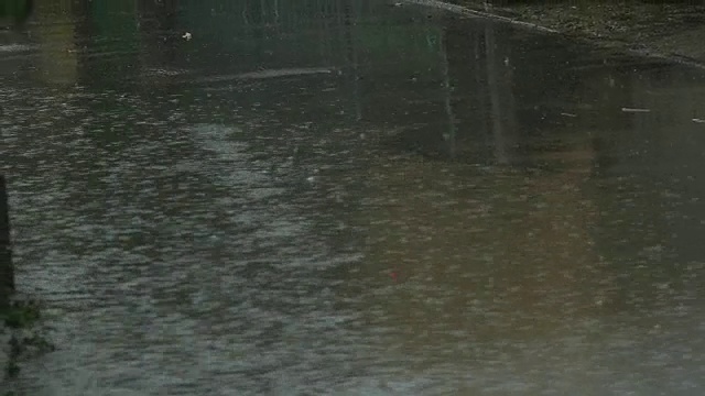 城市里的雨天