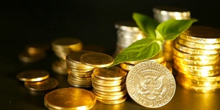 黑色背景上的金币和嫩芽的绿叶。成功的金融业务，抵押和银行概念