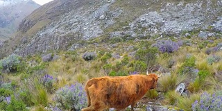 圣克鲁斯徒步旅行瓦拉兹山