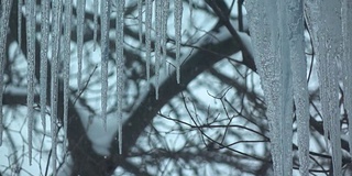 窗外冰柱和雪花纷飞。慢性