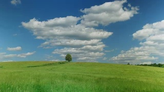 绿野上的一棵孤独的树，映衬着蓝天视频素材模板下载