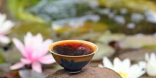 中国红茶茶园