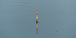 一个人拿着钓竿在湖边钓鱼。渔民们在阳光下站在湖边。